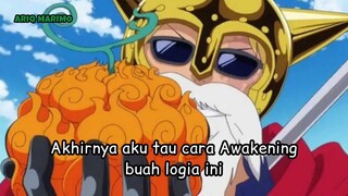 awakening buah tipe Logia terungkap !?