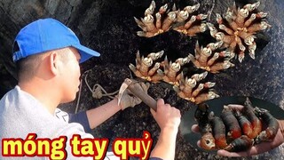 Cận Cảnh Bắt Ốc Móng Tay Quỷ Món Ăn Kinh Dị Cực Kỳ Đắt Đỏ | Trần Thạch Vlogs