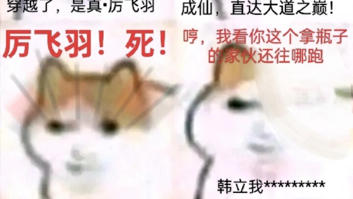 磁场多元宇宙•猫龙串串香