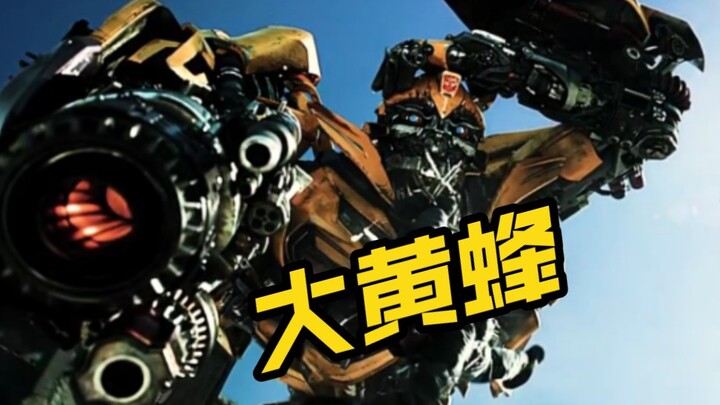 Bumblebee!!!