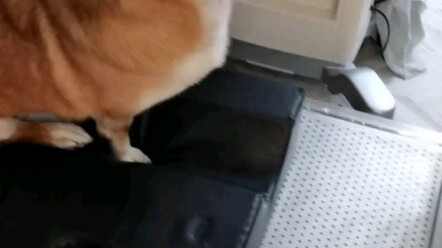 Segala sesuatu memiliki jiwa!