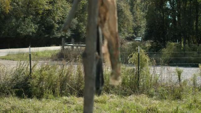 Jeepers-creepers-reborn