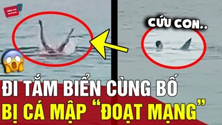 Rủ nhau đi tắm biển, người bố 'BẤT LỰC' nhìn con trai bị cá mập 'ĐOẠT MẠNG' | Động Tiin