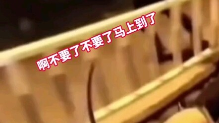 Husband Can’t Get a Ride as Wife Goes Into Labor, Runs All the Way to the Delivery Room—Bike Rider P
