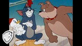 Tom et Jerry en Français | Compilation Classique Dessins Animés | Tom, Jerry, et Spike | WB Kids
