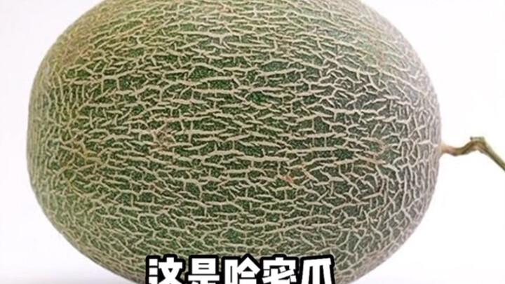 Ini melon Hami, hahahahaha!