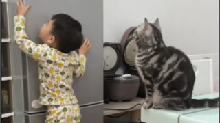 一个敢叫，一个敢帮……
