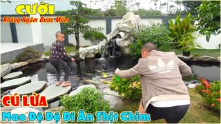 Cú Lừa Mao Đệ Đệ Đi Ăn Thịt Chim Và Cái Kết - Màn Troll Tắm Bùn Cho Siêu Xe Của Mao Đệ Đệ