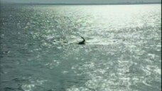 Jam loei Rak (2008) ep 1 eng sub