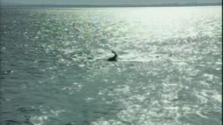 Jam loei Rak (2008) ep 1 eng sub