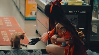猫好，花火大人也好
