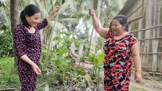 Cuộc So Tài Của Hai Mẹ Con Khi Ra Vườn Câu Cá Ai Hơn Ai| TKQ & Family T785