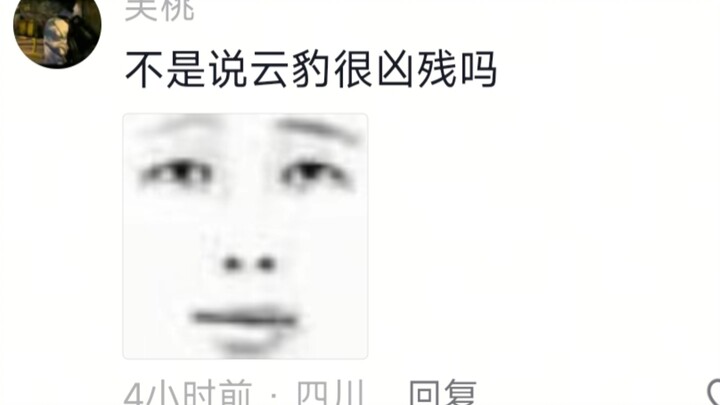 Good thing it’s a clouded leopard; if it were a regular cat, it would’ve scratched you already!