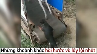 Khoảnh khắc hài hước lầy lội p2