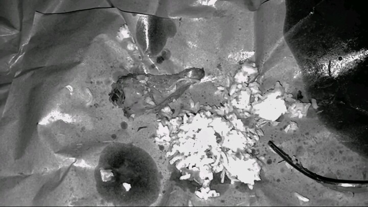 Nasi Campur