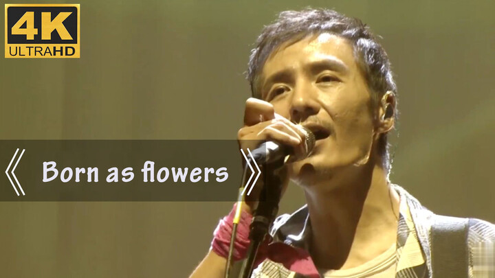 [Live] Born like a summer flower