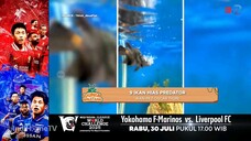 Dunia Binatang BTV - 21 Juli 2025