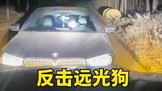 Lawan anjing yang suka menyala jauh, kebenaran ada dalam jangkauan lampu depan mobil!