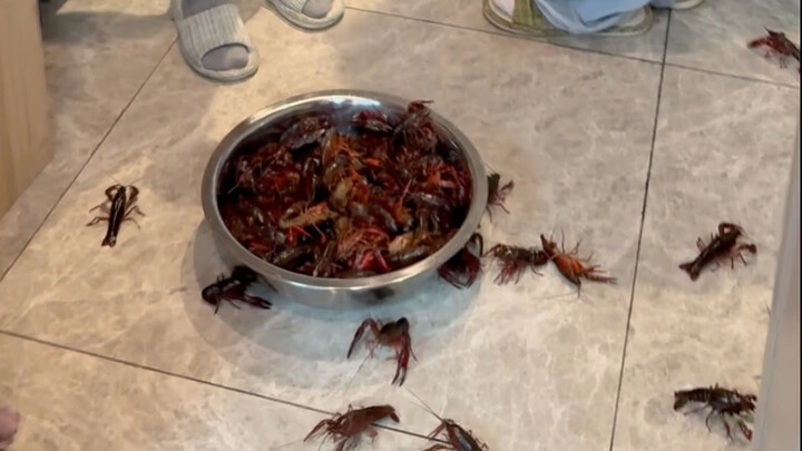 Thực ra con tôm hùm nhỏ này không ăn cũng được mà!!