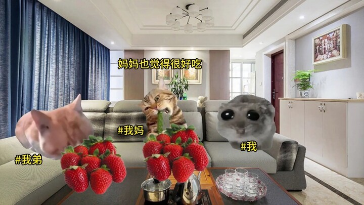 大人不让你做的事情，一定有他的道理