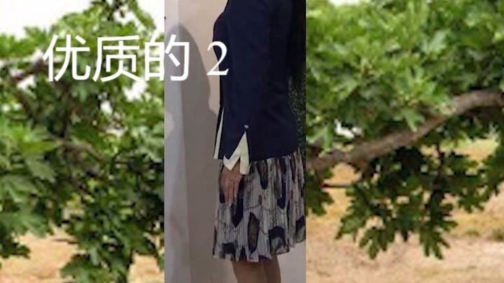 优质的 2 Retro