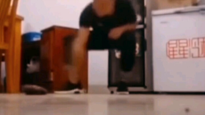 الفأر: "يبدو أنني سأتناسخ في حياتي القادمة كغُزلانة!"