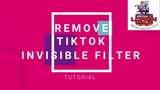Tiktok | How to remove invisible filter