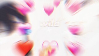 ❤️❤️❤️❤️❤️