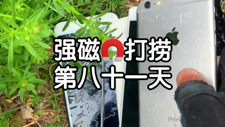 วันที่ 81 ของการงมหาด้วยแม่เหล็กแรงสูง กลับงมโทรศัพท์ขึ้นมาได้เยอะขนาดนี้เลย