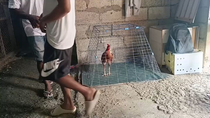 Congrat's warrior 🙏😇