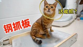 自制破釜沉舟猫抓板！叫你们再抓沙发？