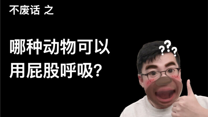 【Tanpa basa-basi】Hewan apa yang bisa bernapas melalui pantat?