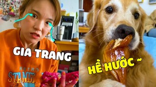 Đại Trang | MAMA Cạn Nước Mắt Trước Độ Lươn Lẹo Của ĐẠI TRANG 🤣 Gâu Đần Official