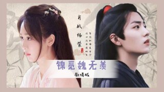 【肖战杨紫】台词向剧情版【完整故事篇/锦觅魏无羡/古装爱情】繁花似锦觅安宁 淡云流水度此生～