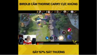 Birdlb cầm Thorne carry cực khủng