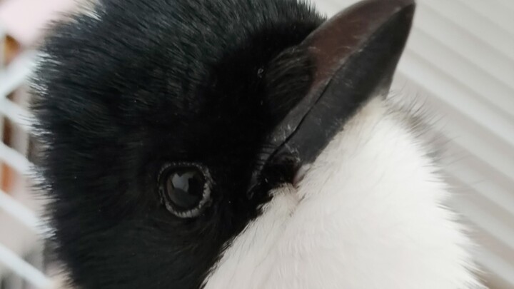 ลูบๆ