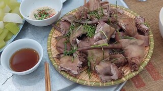 Ẩm thực đồng quê chuột cống nhum ép lá chanh/ Săn bắt ẩm thực vùng quê /tt86