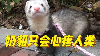 What bad intentions could the little mink have?
