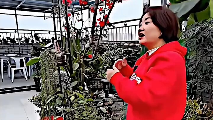 (33-Year Veteran Chinese Language Master)