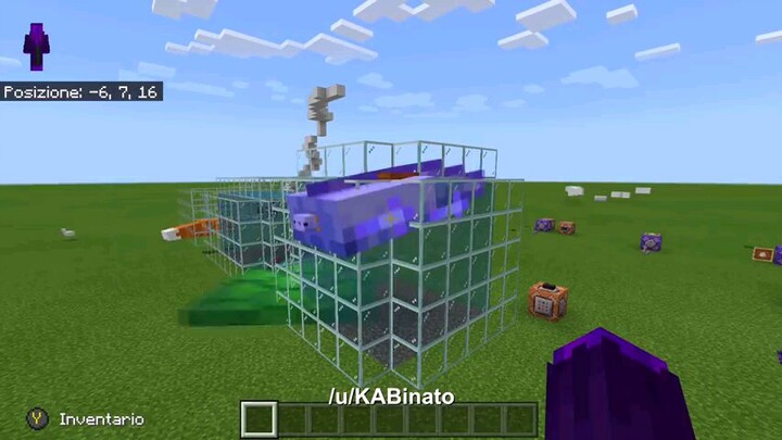 Minecraft new axilotl Memea