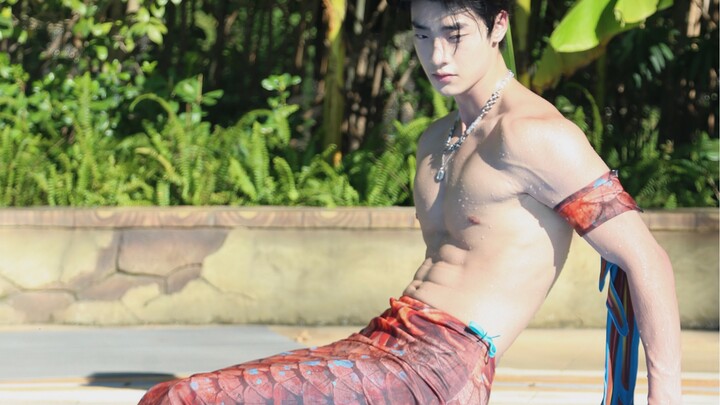 “The Handsome Fish” Is at Work!