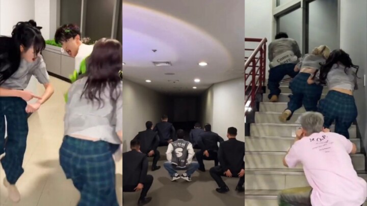 这几个cha得存一下，时不时拿出来回味，太搞笑了