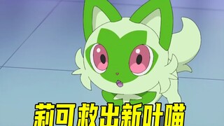 宝可梦地平线02：莉可成功救出新叶喵，男主罗伊终于登场