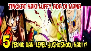 INILAH 5 TEKNIK DAN LEVEL BUSHOSHOKU HAKI !?