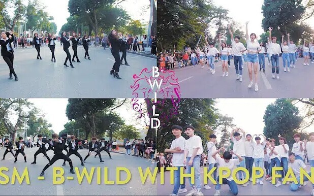 [B-Wild]SM家族舞蹈串烧(少女时代, EXO, 东方神起, NCT, Red Velvet, F(x), SUJU,SHINee)