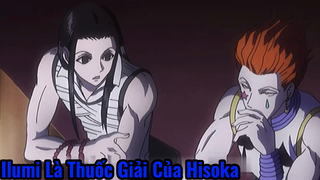 Ilumi Là Thuốc Giải Của Hisoka