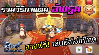 สายฟรี! เล่นยังไงให้โหด (หาแต้มอัพรูน Contribution) | Ragnarok M Eternal Love