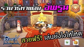 สายฟรี! เล่นยังไงให้โหด (หาแต้มอัพรูน Contribution) | Ragnarok M Eternal Love