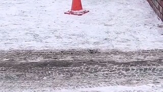 cat and mous funny video. #cat #funny