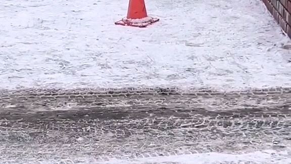 cat and mous funny video. #cat #funny